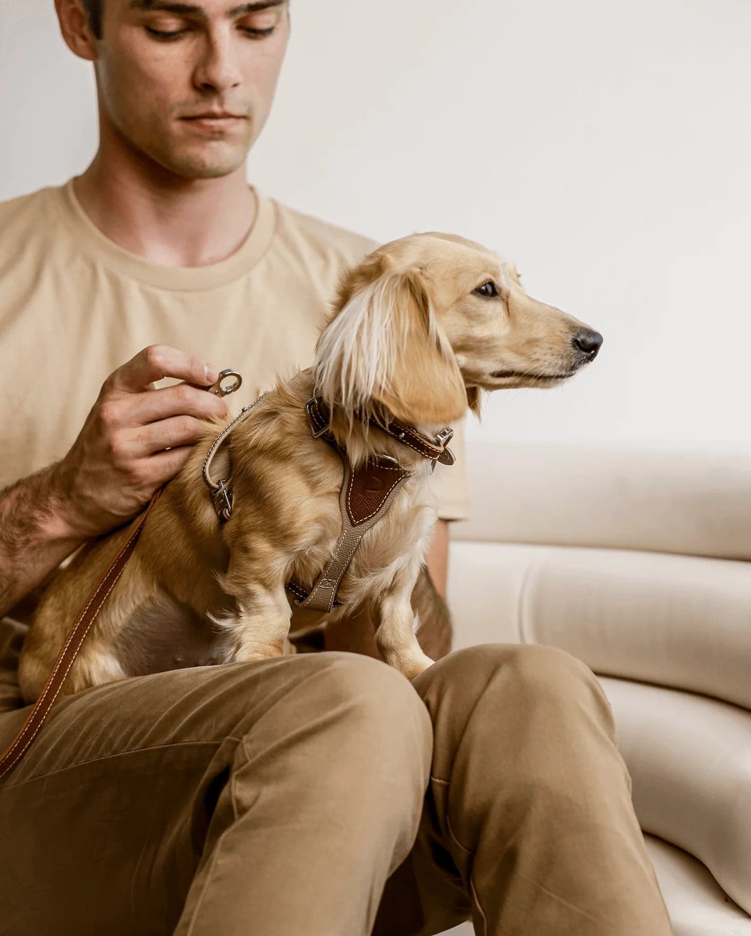 Cão com acessórios premium PetvitaClub