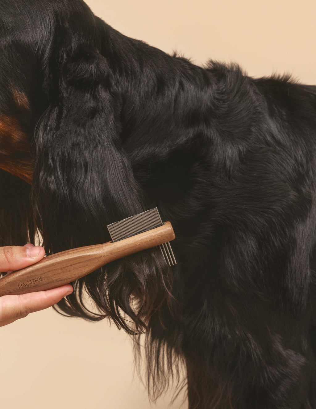 The Pansage — Kit de Grooming Premium da PAGERIE — vista principal