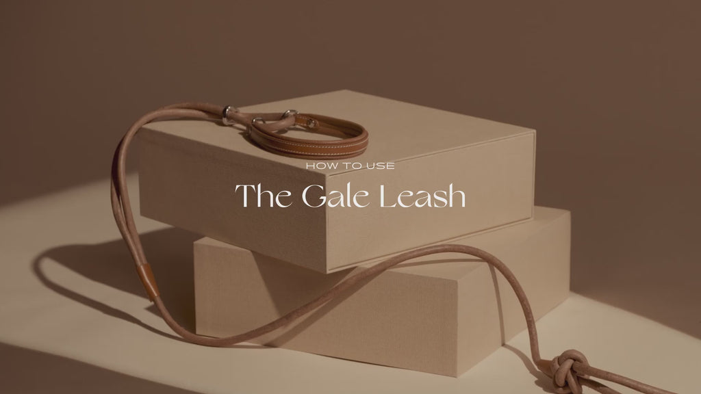 The Gale — Trela Sustentável — vídeo do produto PAGERIE