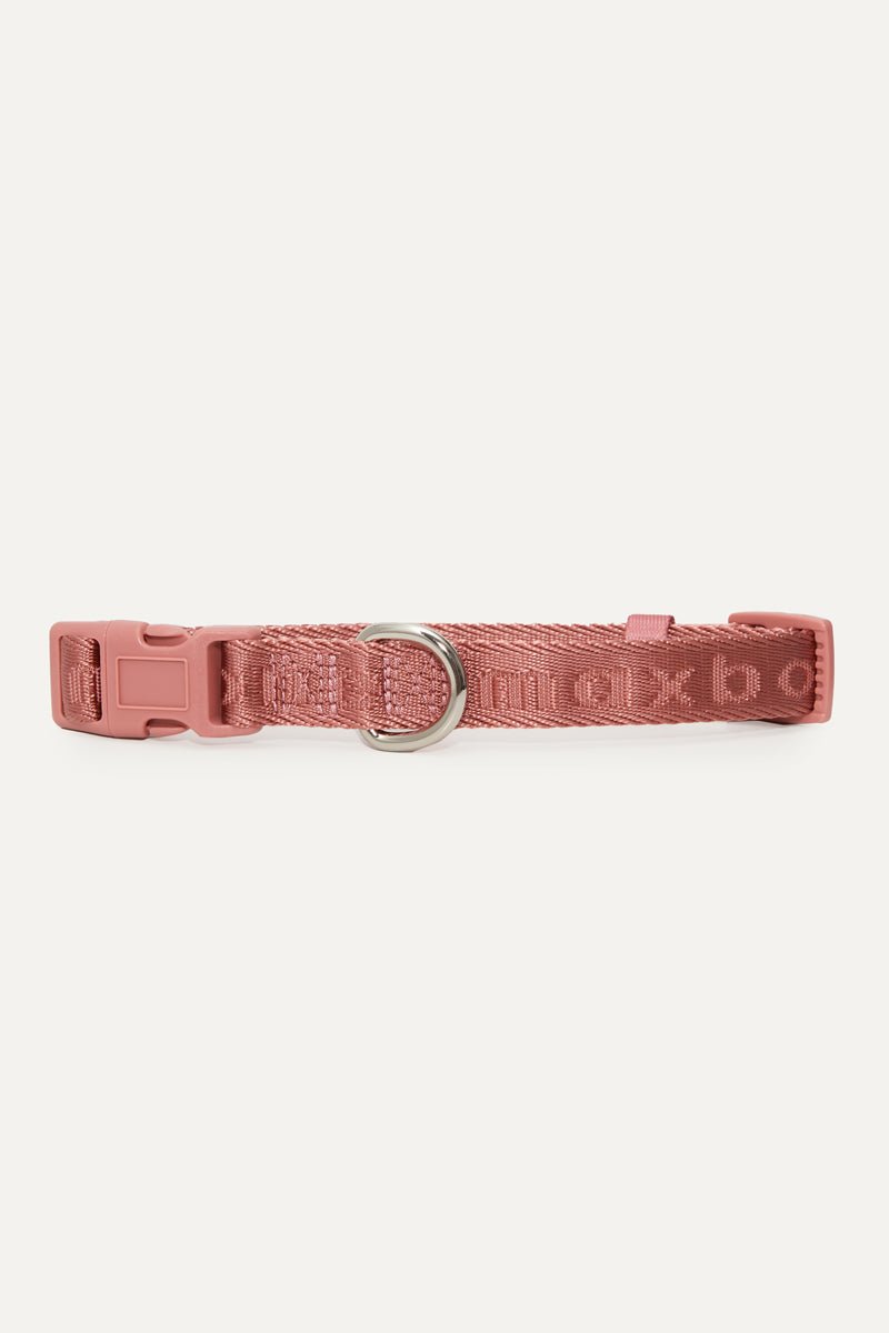 Coleira Signature Collar premium da Maxbone em Ivory — detalhe das ferragens (24)
