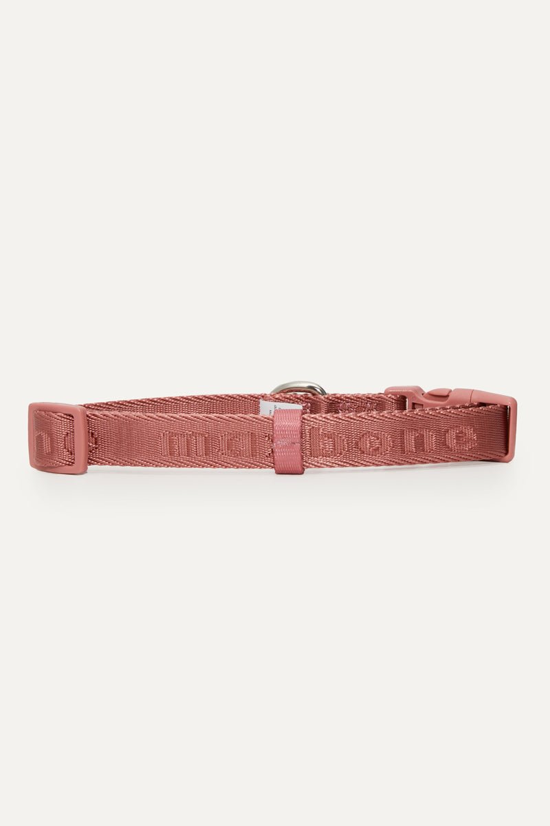 Coleira Signature Collar premium da Maxbone em preto — em utilização (35)