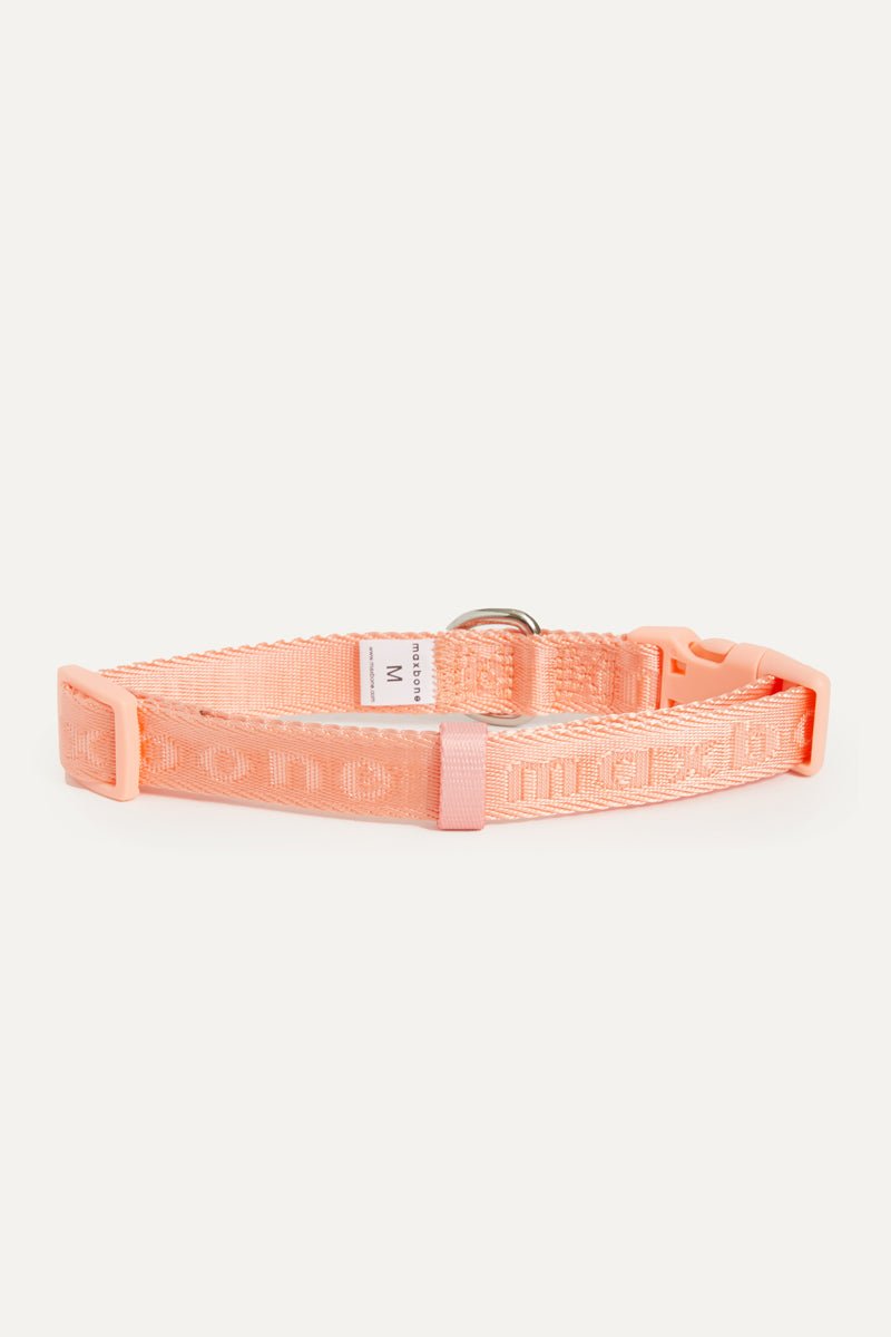 Coleira Signature Collar premium da Maxbone em Peach — vista lateral (40)