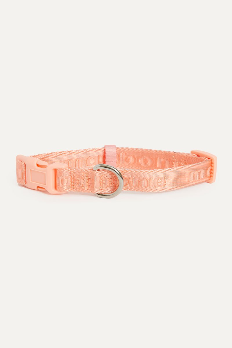 Coleira Signature Collar premium da Maxbone em verde sálvia — detalhe do acabamento (45)